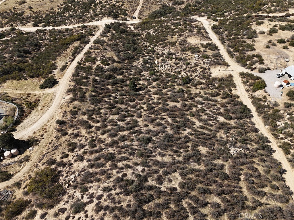 Picture 45