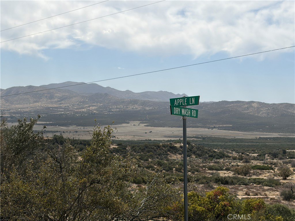 Picture 42