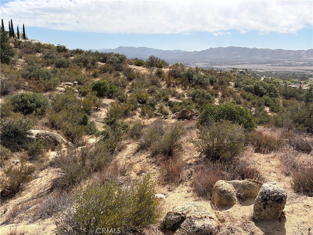 Picture 25