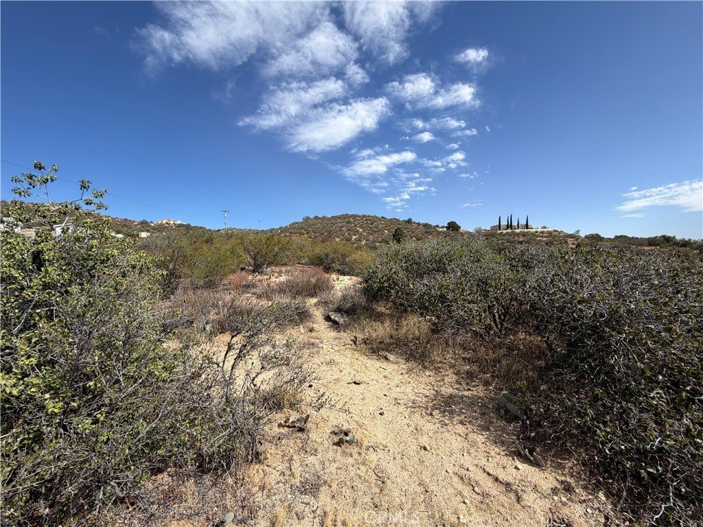 Picture 36