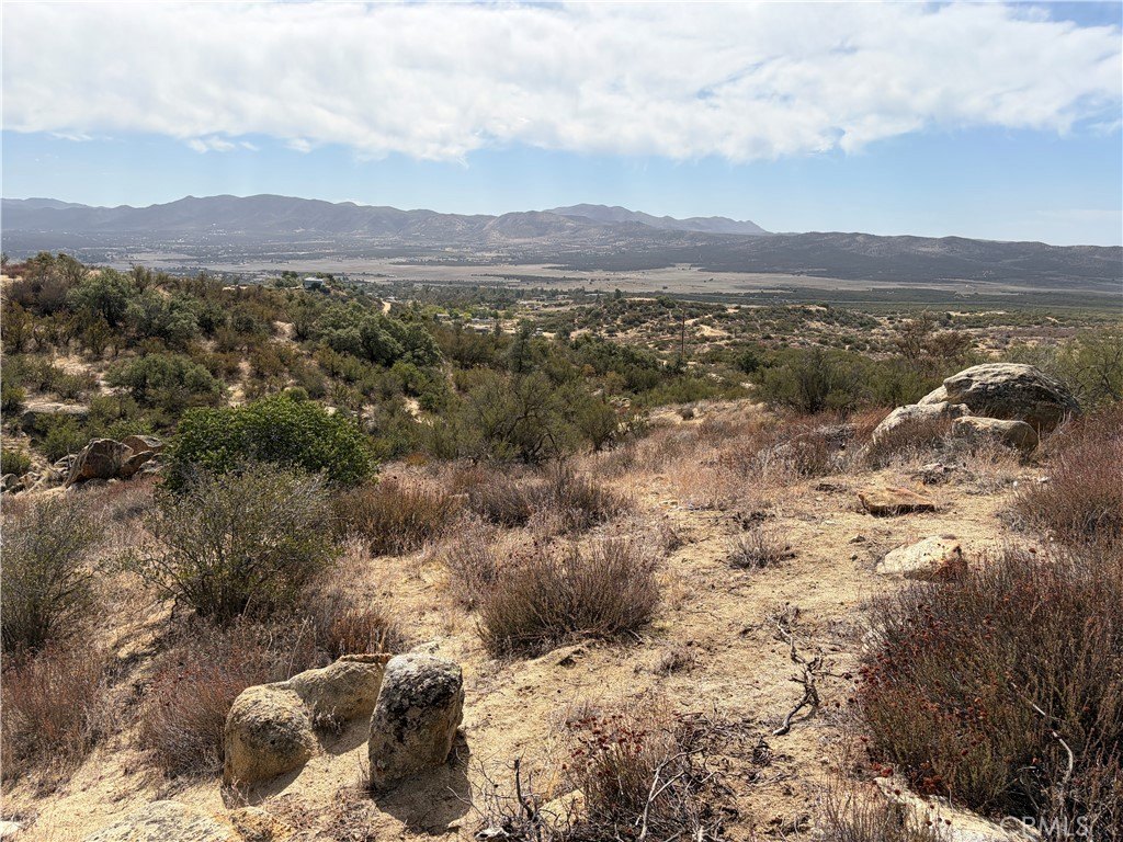 Picture 24