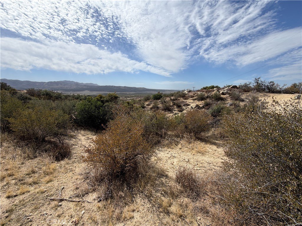 Picture 19