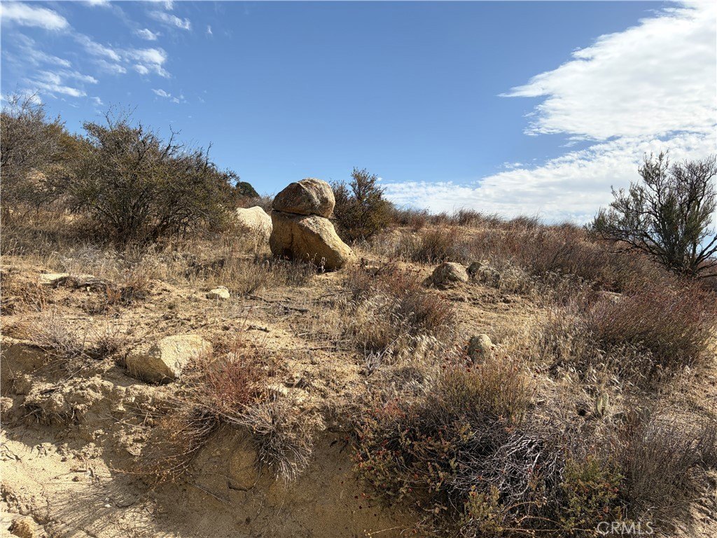 Picture 33