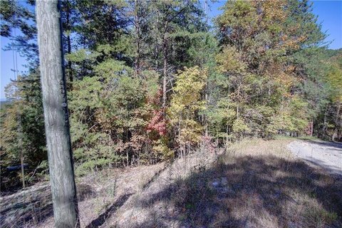 Wooded Lot with Mountain Views