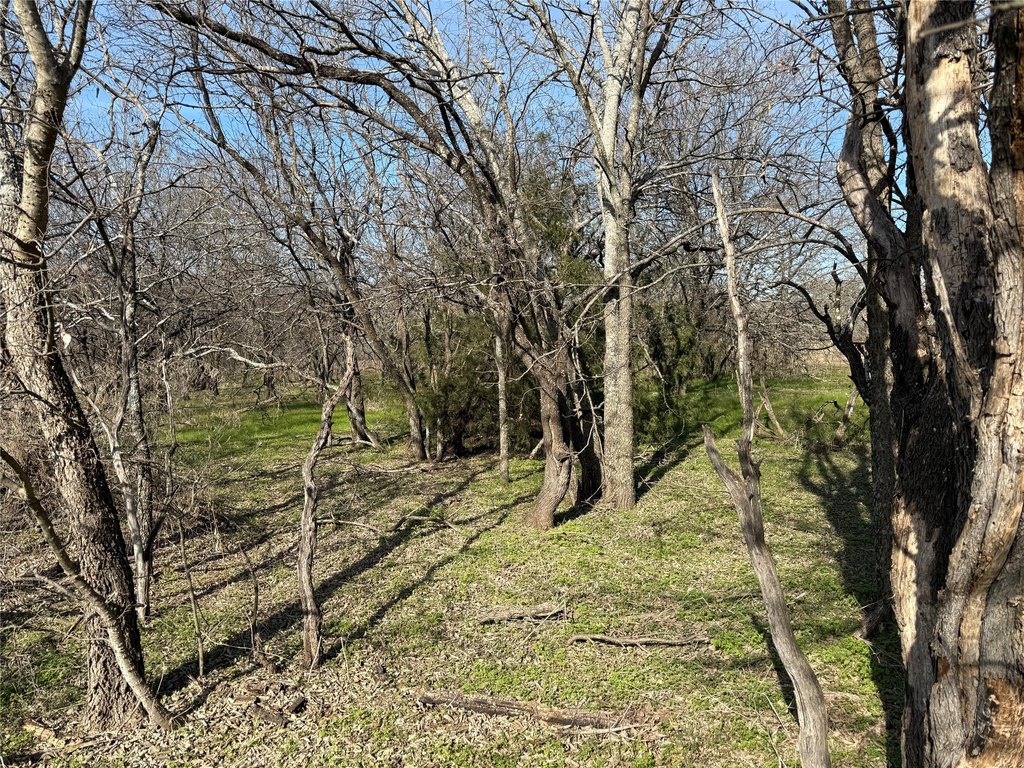 Picture 40