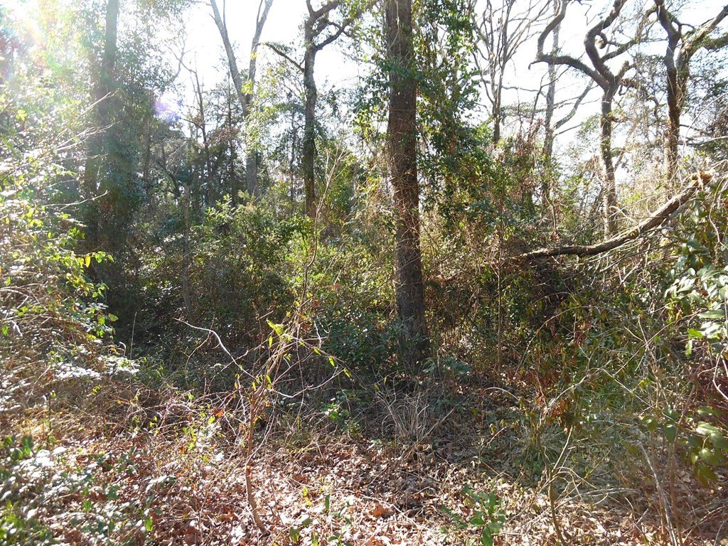 Picture 3