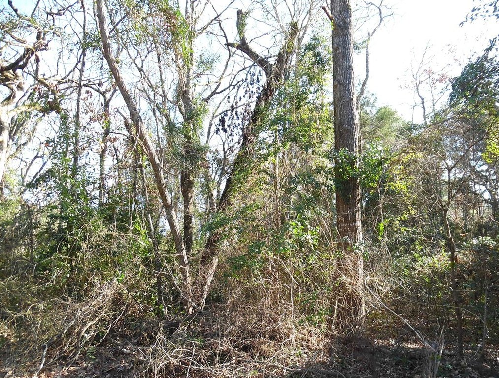 Picture 8