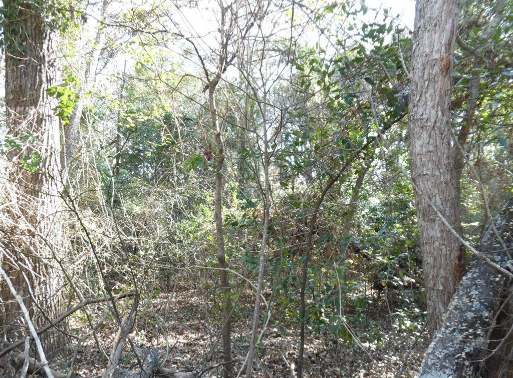 Picture 7