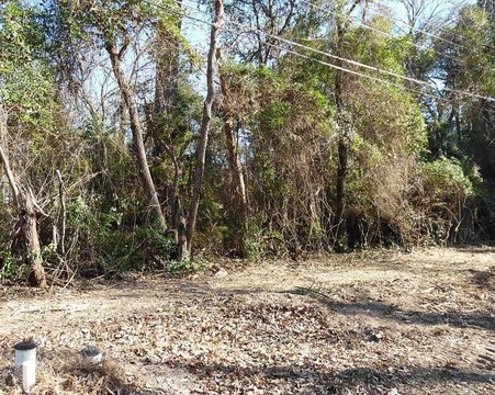 Callender Lake Wooded Corner Lot