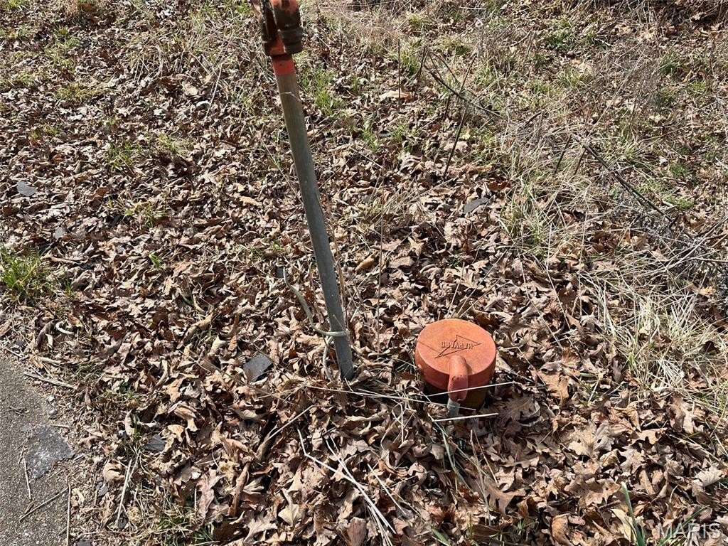 Picture 4