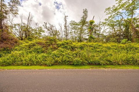 One Acre Lot in Pahoa