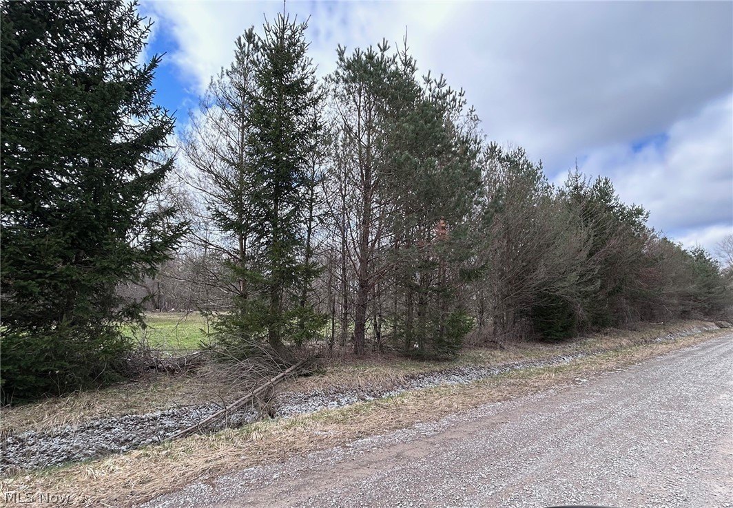 67+ Acres of Woodland Beauty