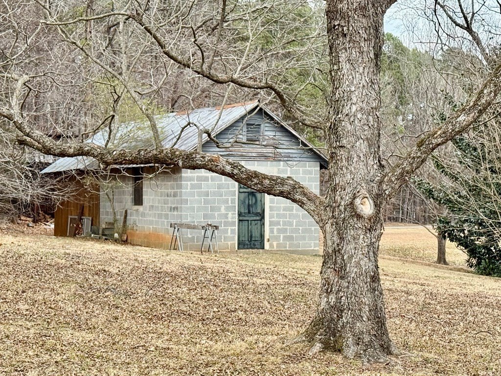 Picture 23