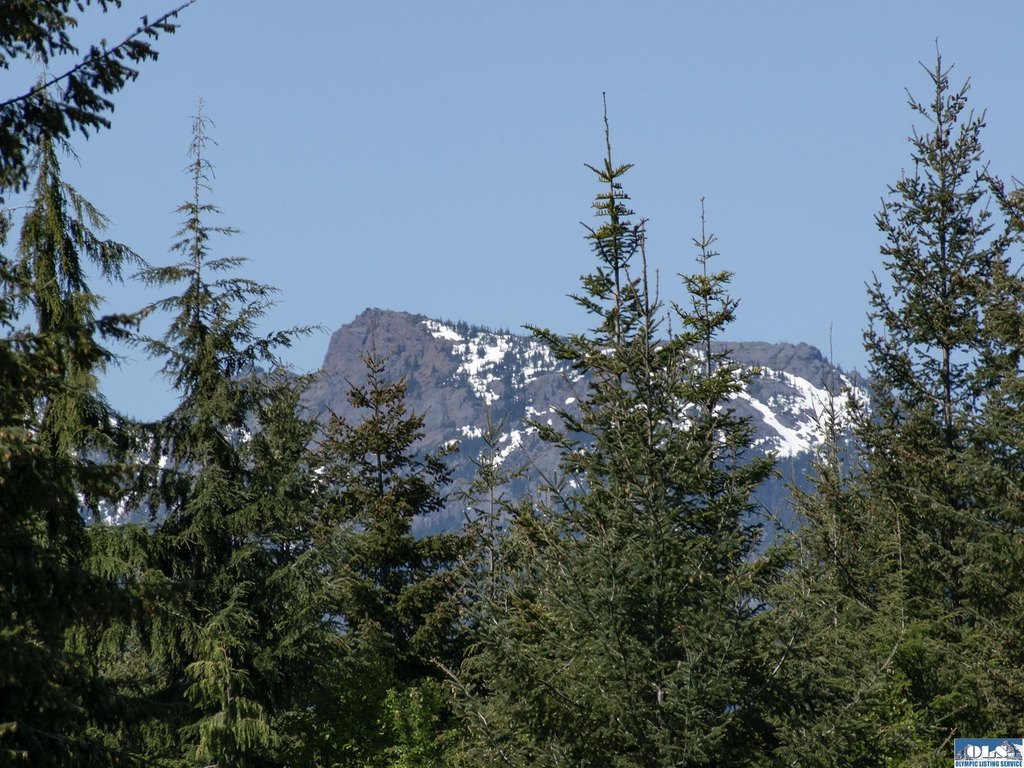 Picture 52