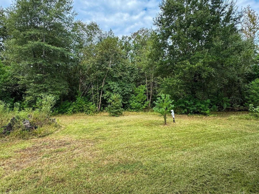 Picture 43