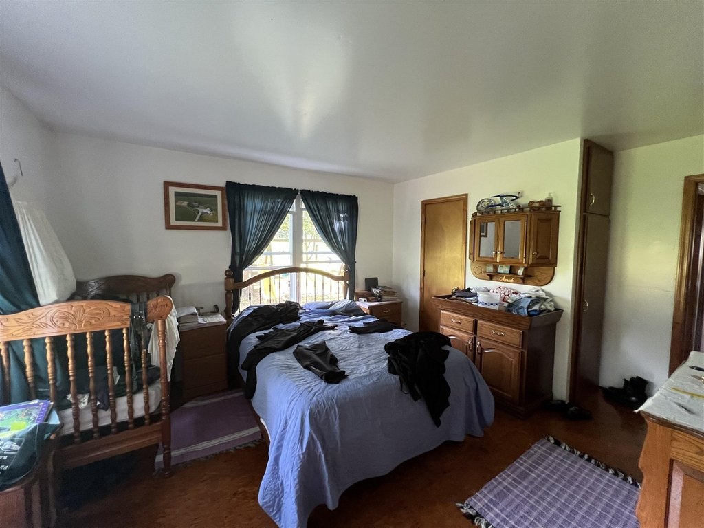Picture 8