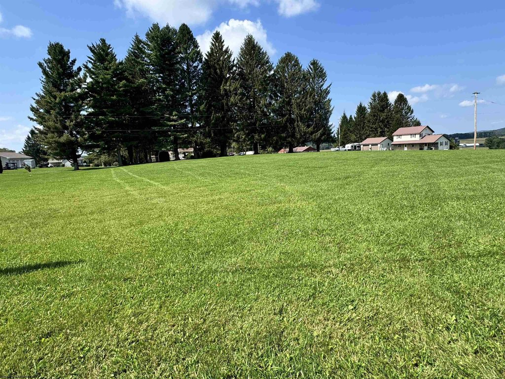 Picture 6