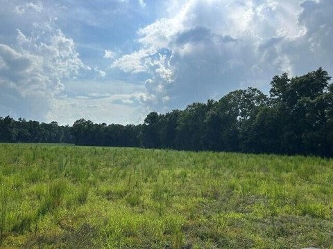 LAND - Harleyville, SC