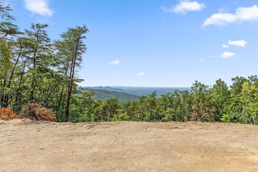 Chatsworth, GA Vacant Mountain Lot