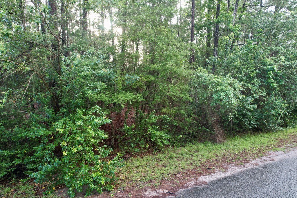 Picture 3