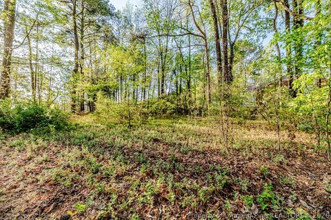 LAND - Sanford, NC