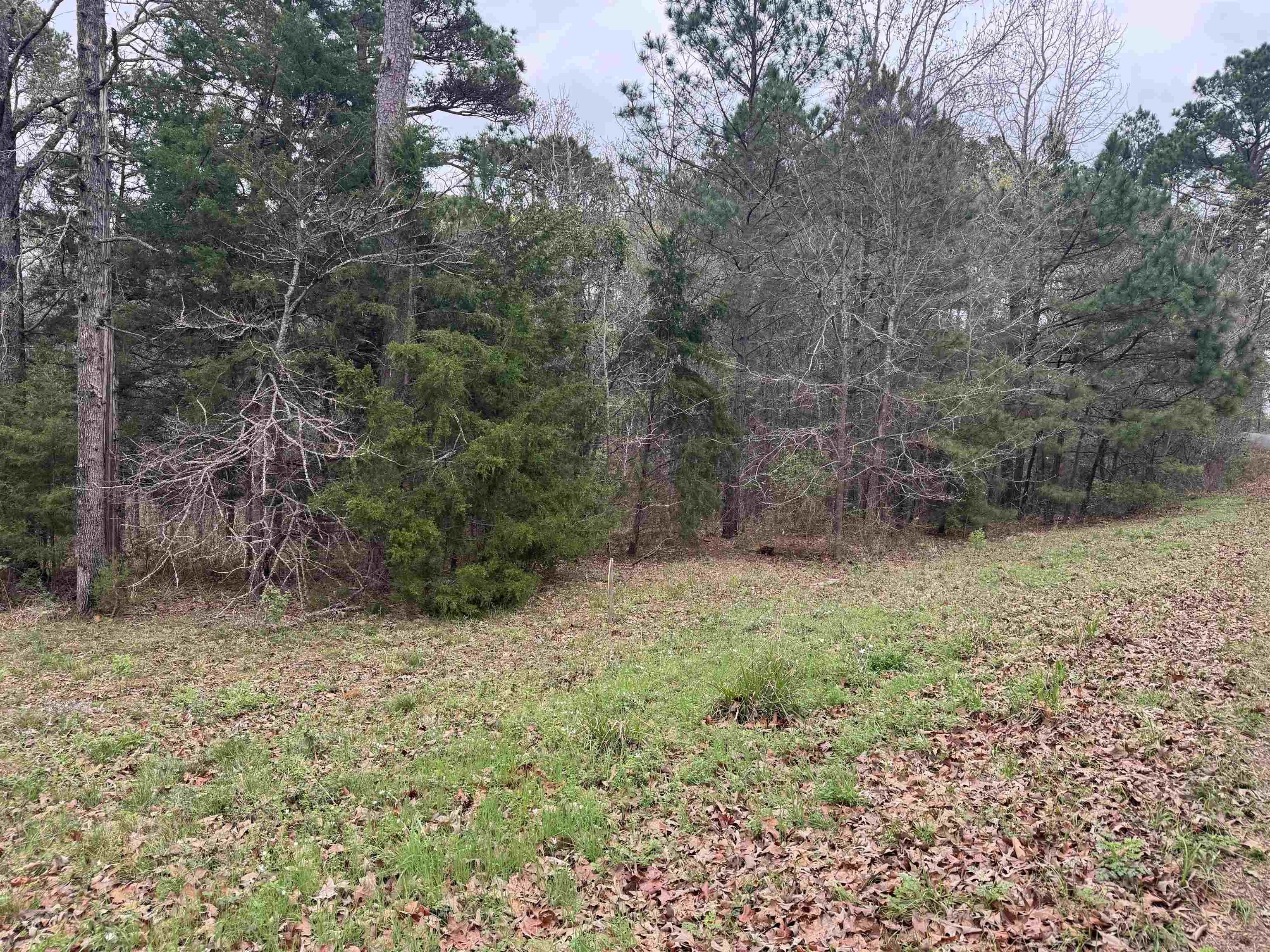 Lake Gladewater Estates Land