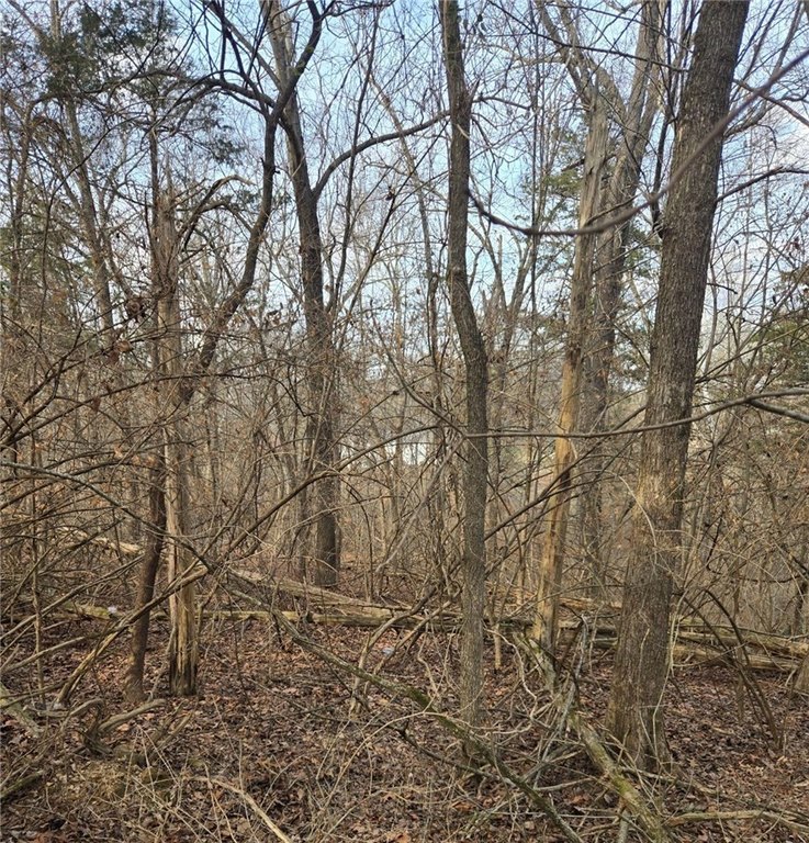Picture 4