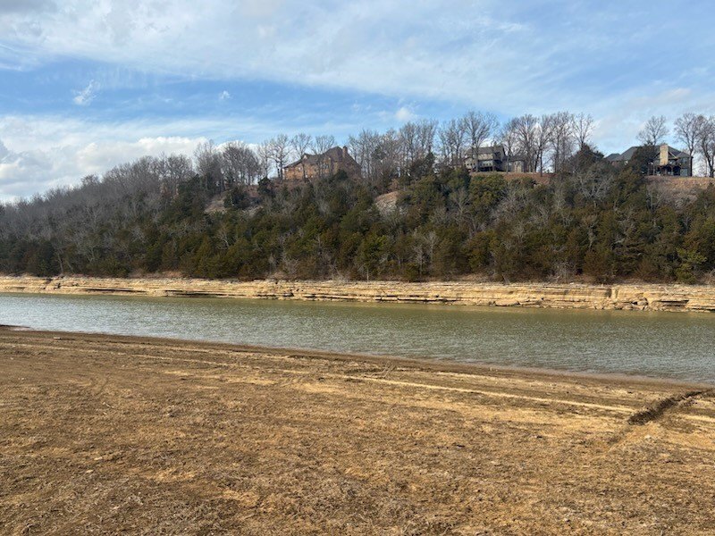 Picture 8