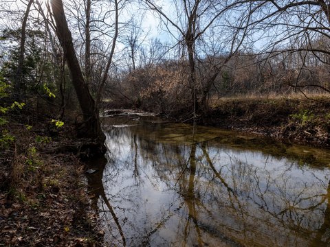 Ozarks Land with Hunting Cabin