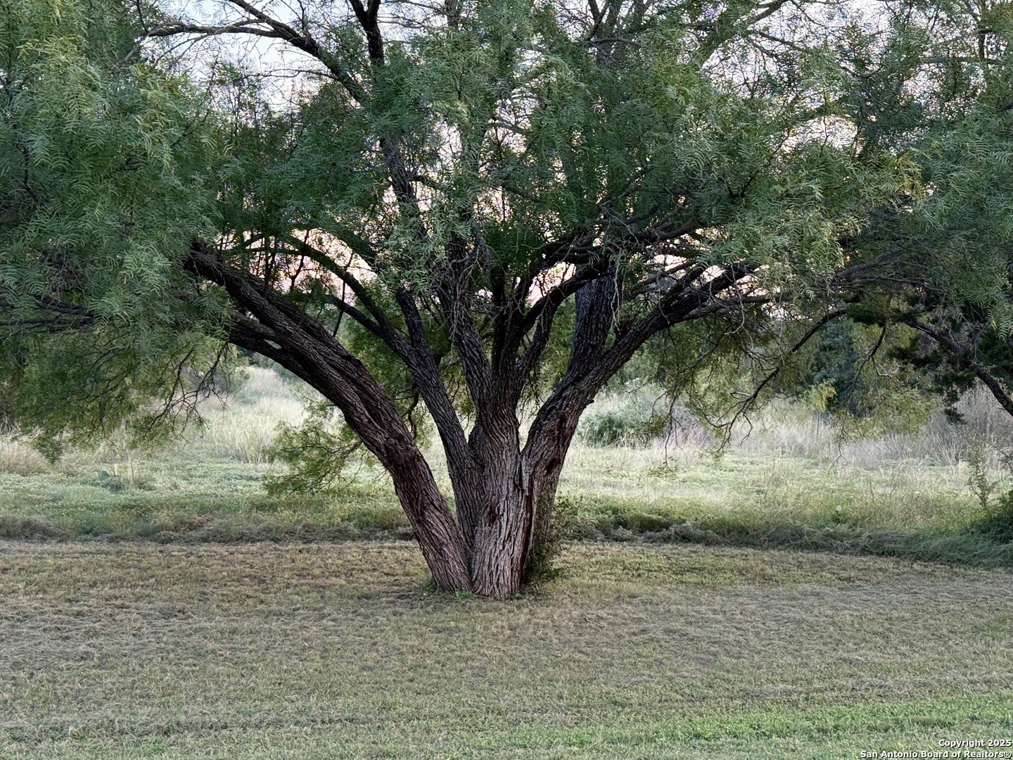 Texas Hill Country Homesite