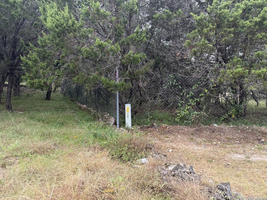 Picture 13