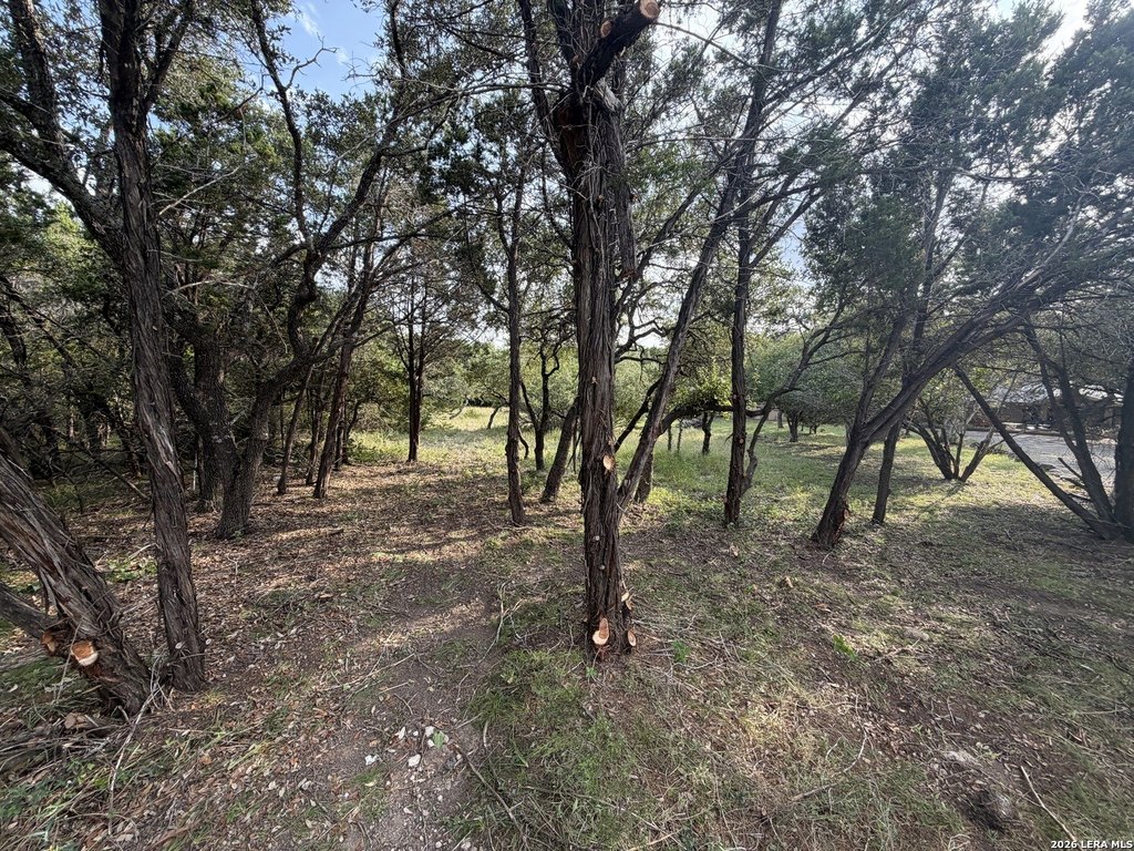 Picture 28