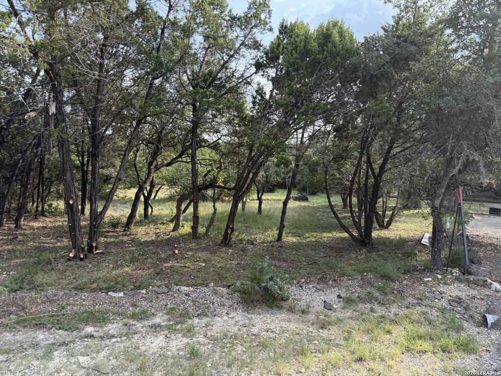 Picture 31