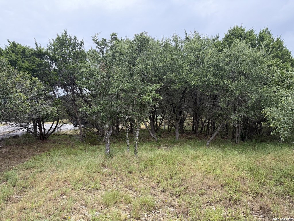Picture 24