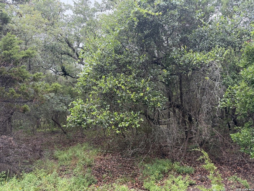 Picture 19