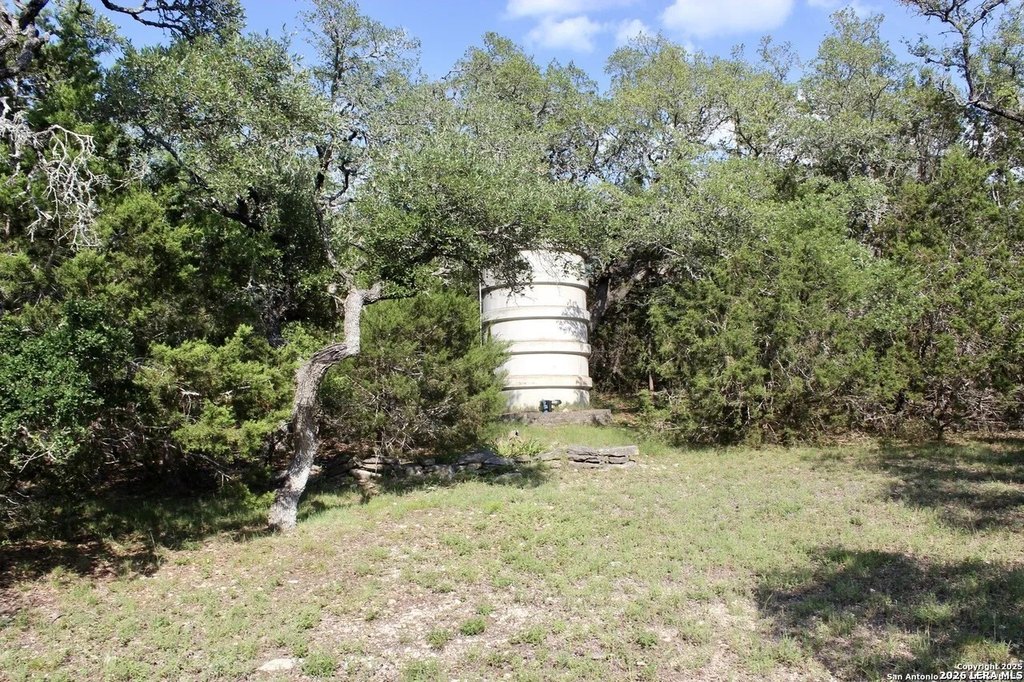 Picture 10