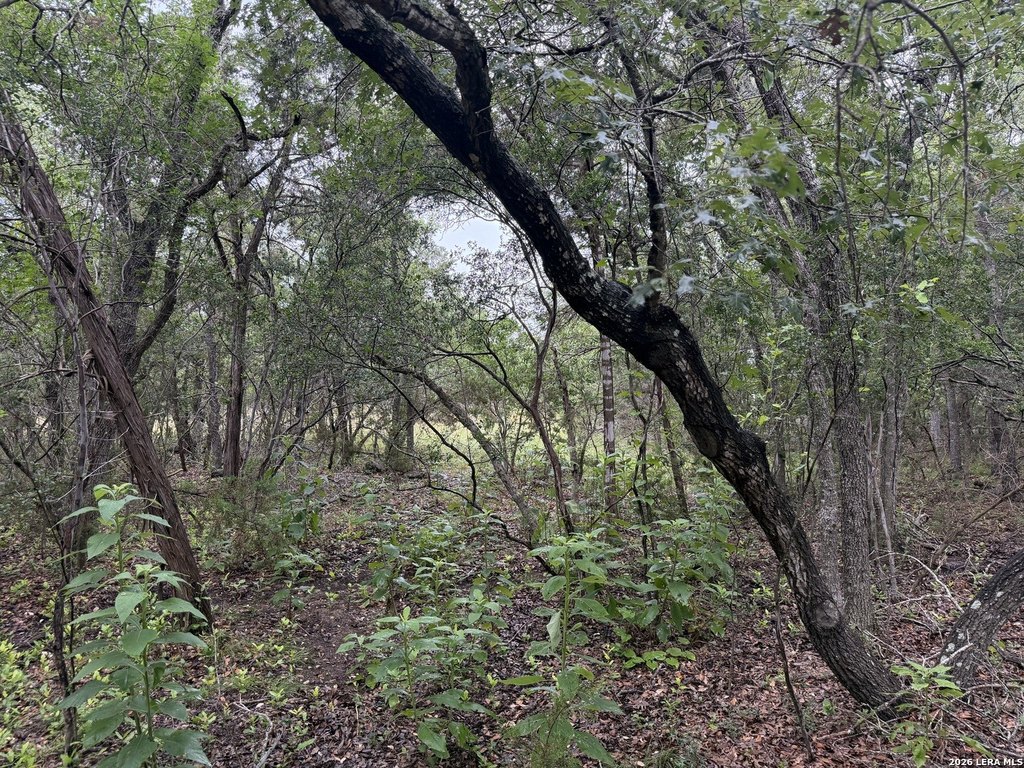 Picture 23