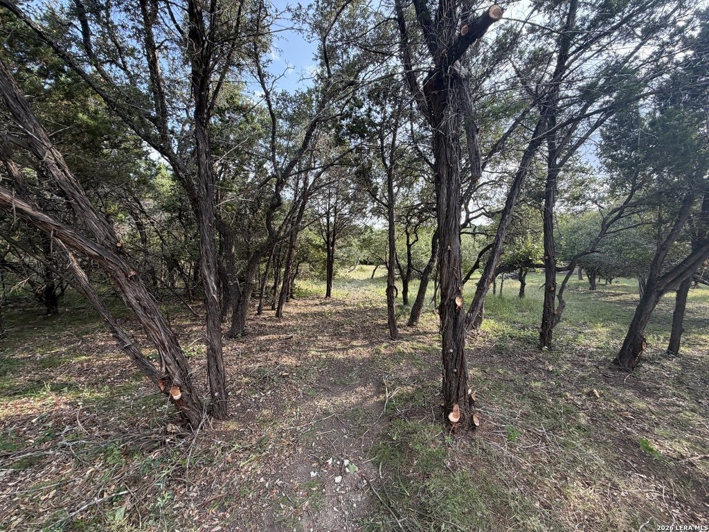 Picture 29