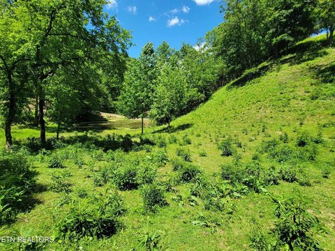 Historic 10-Acre Century Farm