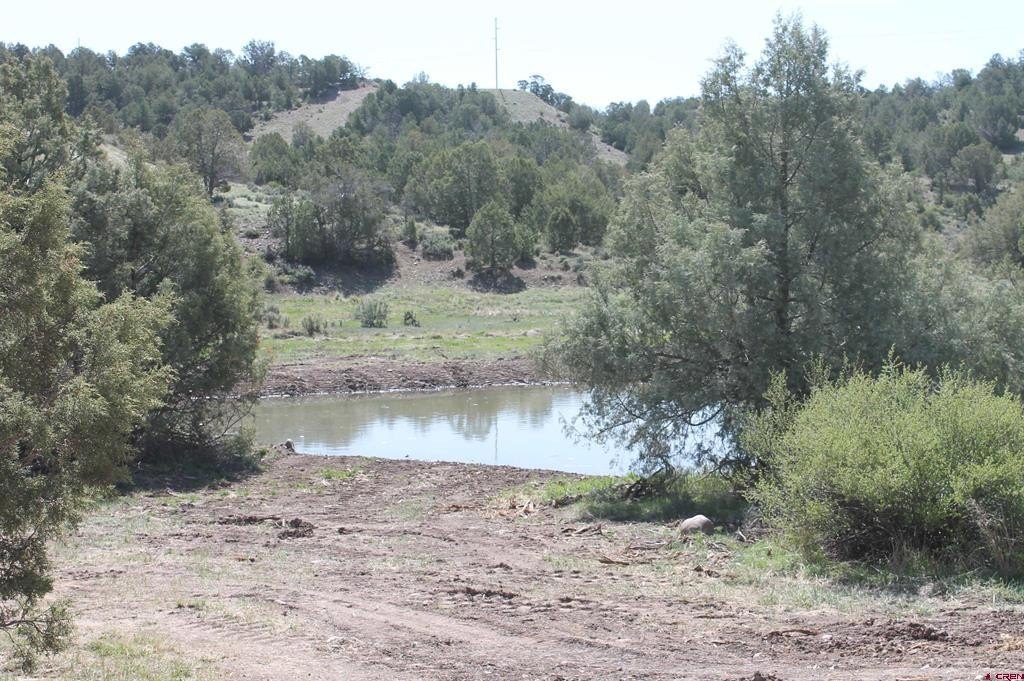 Land For Sale, Durango, CO