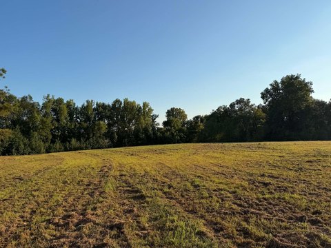 Land, Williston, TN