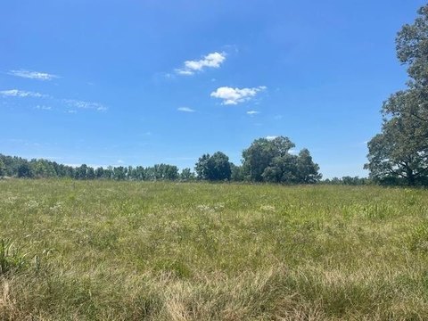 LAND - Williston, TN