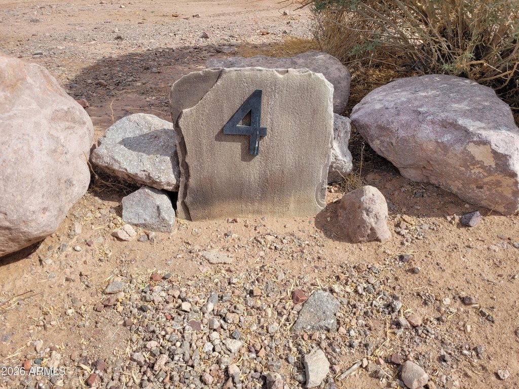 Picture 7