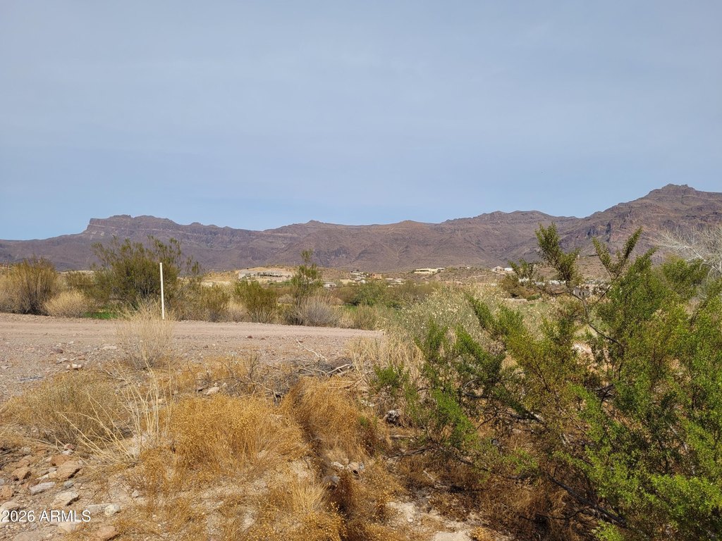 Picture 5