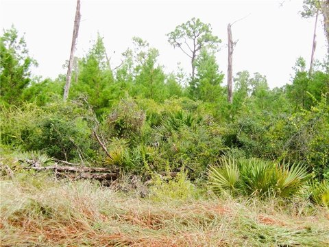 Land, Sebring, FL