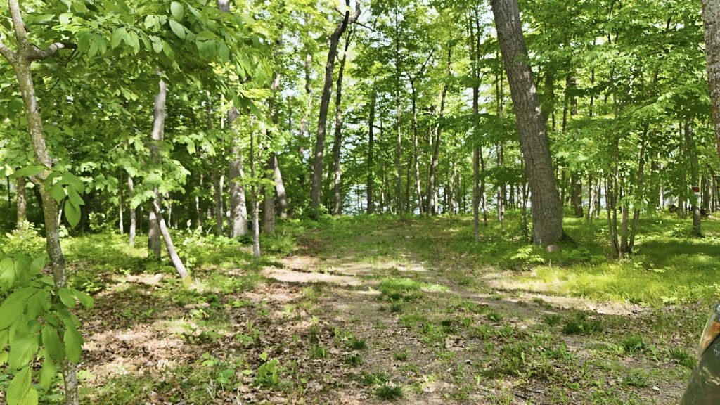 Picture 20