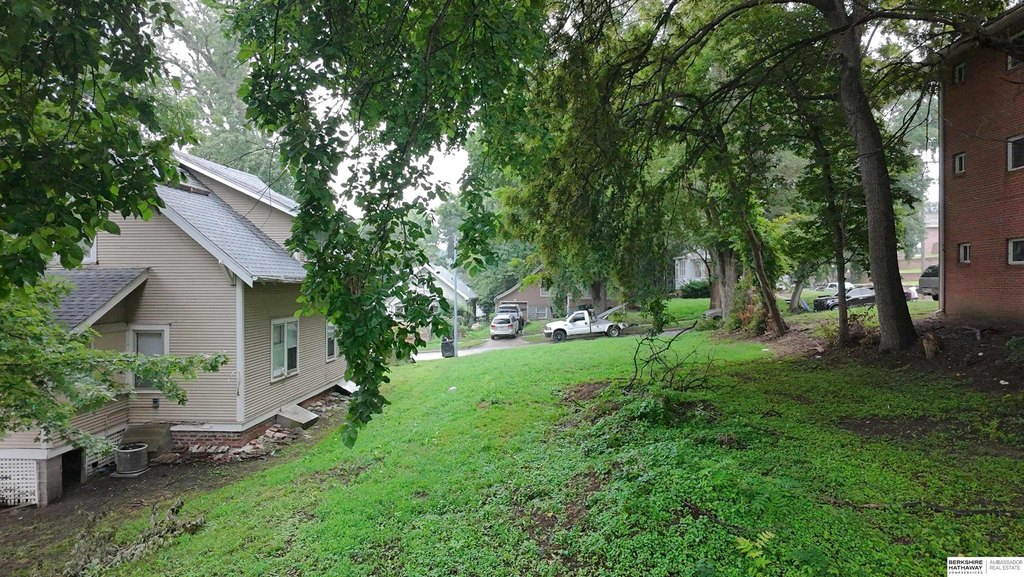 Picture 8