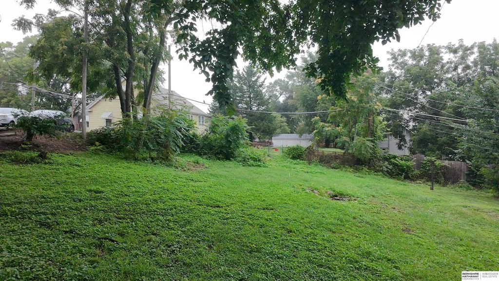 Picture 6