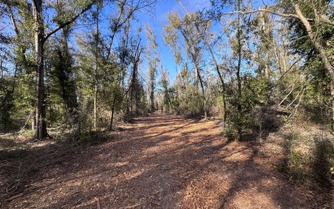 Partially Cleared Rural Acreage