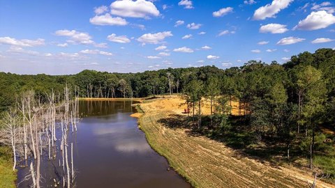 Land, Newton, AL